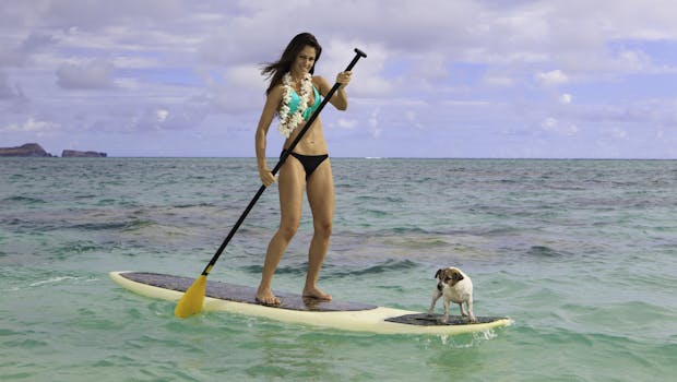 Hawaii – Visting with your pet