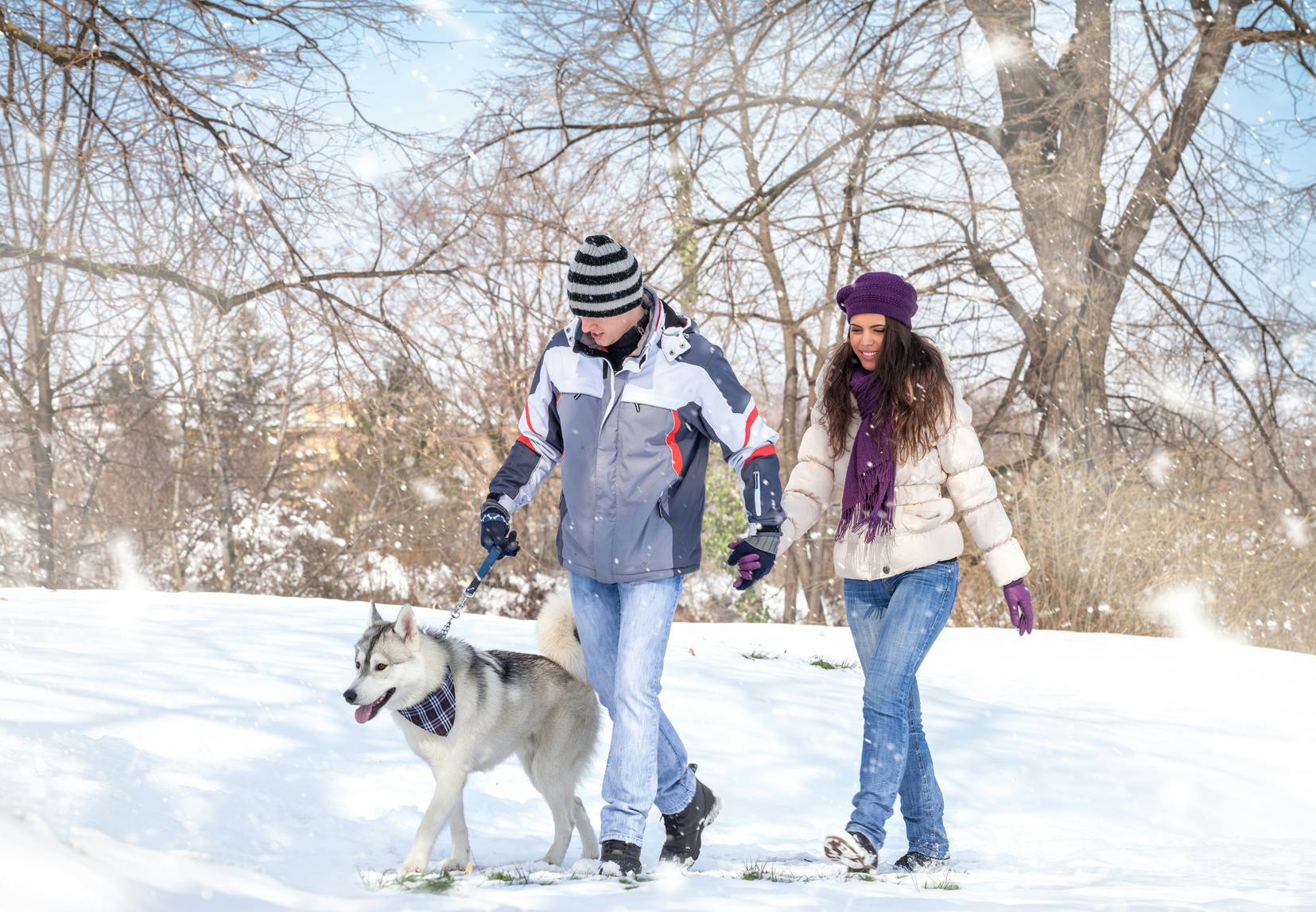 Гуляем с белой. Прогулка в парке зимой. Человек гуляет с собакой зимой. Зимняя прогулка с собакой. Прогулка по парку зимой.